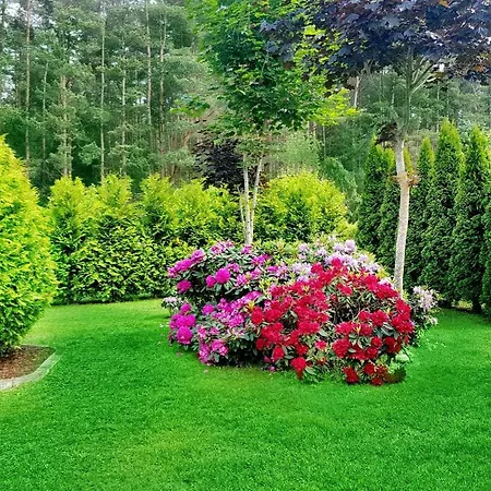Apartament 17 *